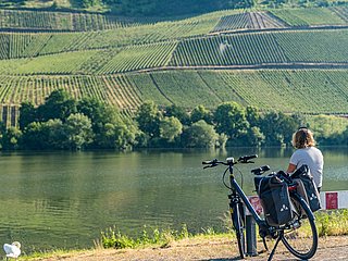 Kurze Pause bei Longuich mit Blick auf die Weinberge