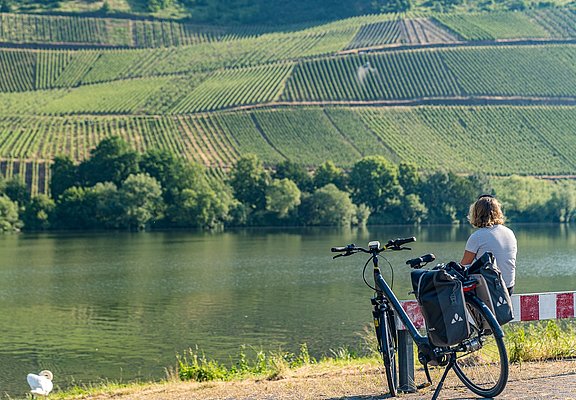 Kurze Pause bei Longuich mit Blick auf die Weinberge