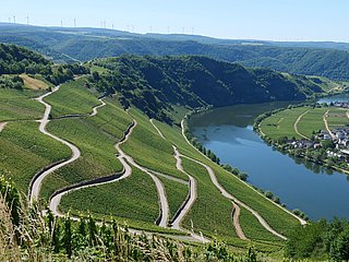 Piesport an der Mosel