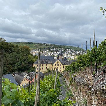 Oberhalb von Bernkastel-Kues