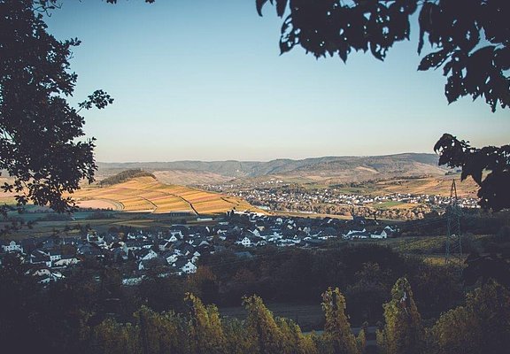 Monzel und das Moseltal
