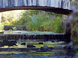 Brücke in Burgen
