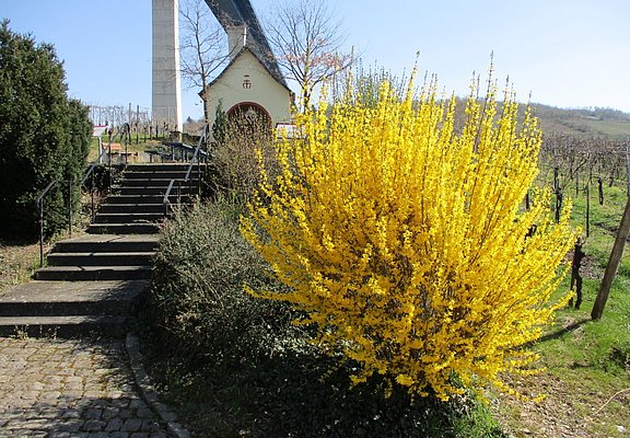 Alte Kirche am Ortsrand