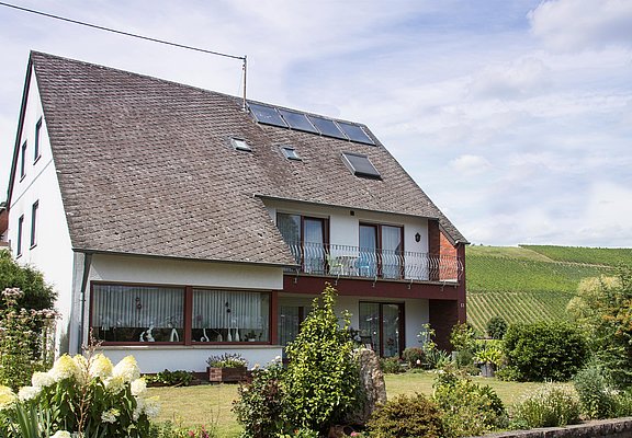 Weingut Selbach-Erz