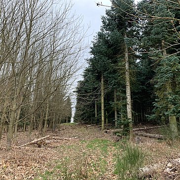 Ruhe & Natur pur!