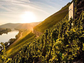 Brauneberger Juffer Sonnenuhr