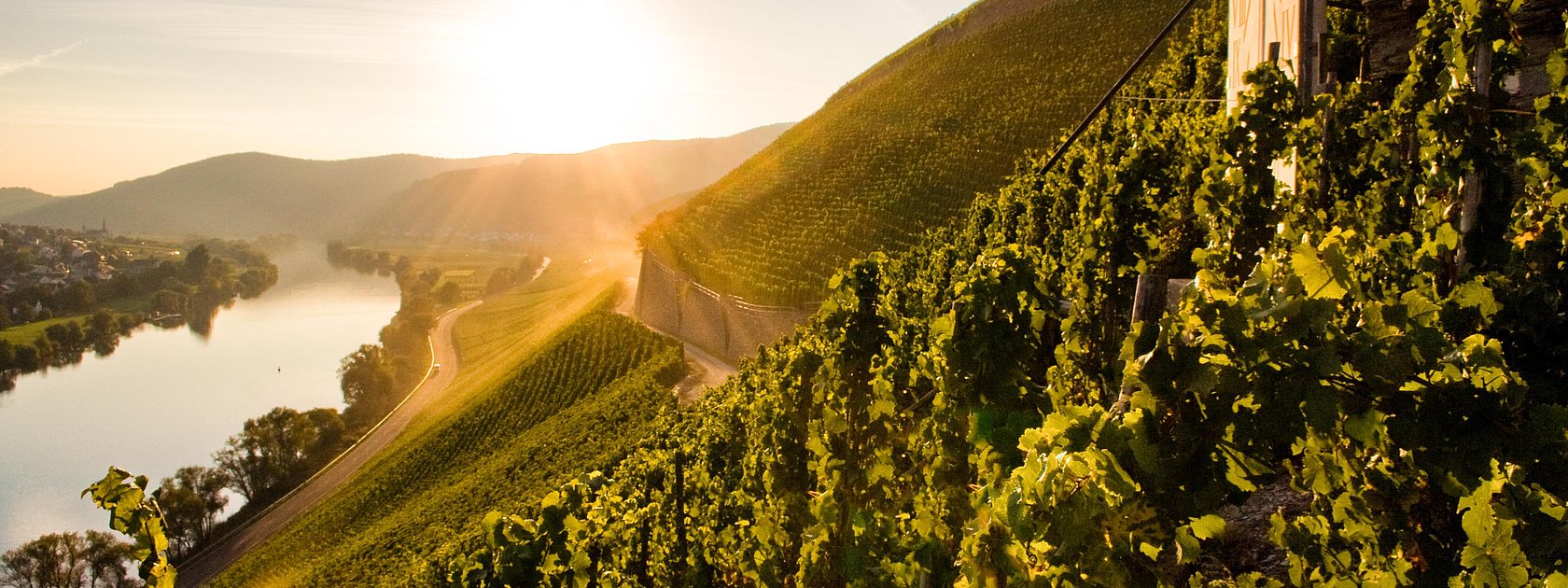 Brauneberger Juffer Sonnenuhr