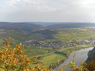 Neumagen-Dhron an der Mosel