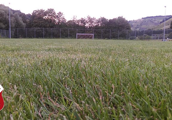 SV Neumagen-Dhron - Sportplatz mit Logo