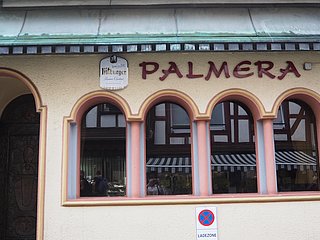 Palmera