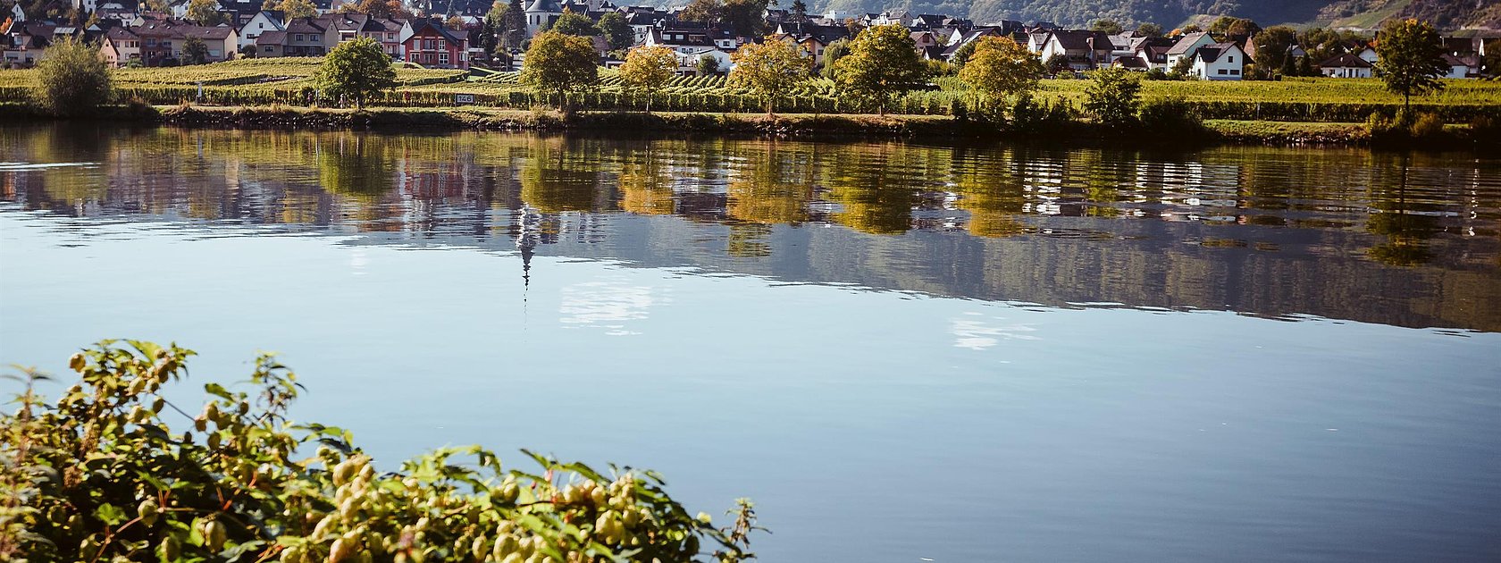 Urlaub an der Mosel in Piesport