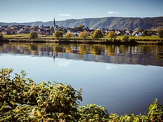 Urlaub an der Mosel in Piesport