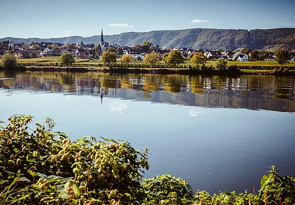 Urlaub an der Mosel in Piesport