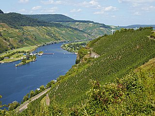 Ausblick auf Wintricher Hergott