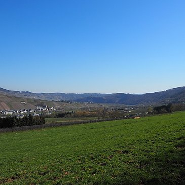Blick auf Lösnisch und Kinheim