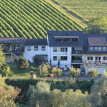 Weingut u. Gästehaus
