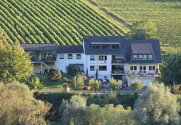 Weingut u. Gästehaus