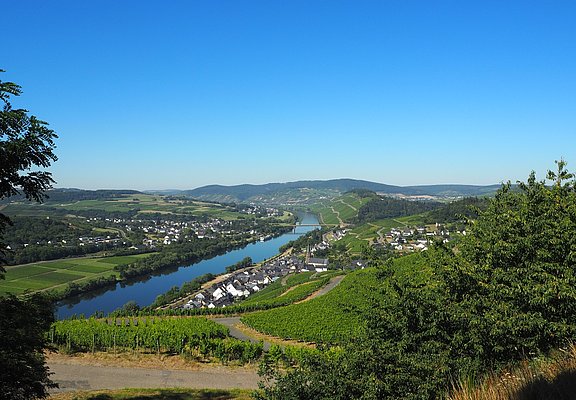 Ausblick auf Lieser
