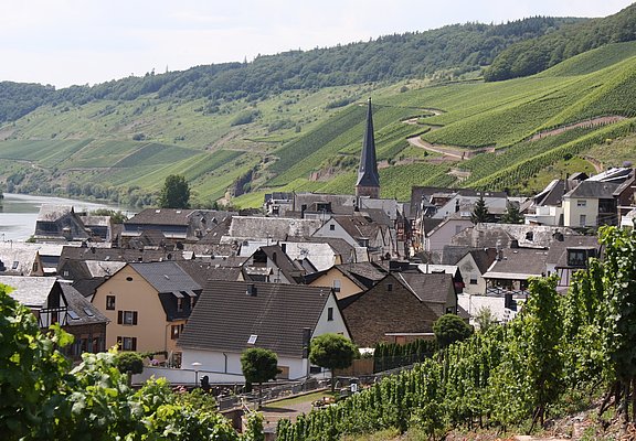 Moselgemeinde Ürzig