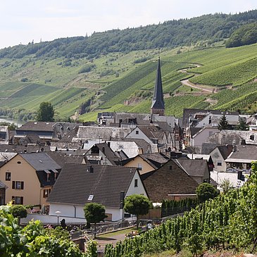 Moselgemeinde Ürzig