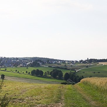 Hunsrücklandschaft bei Monzelfeld