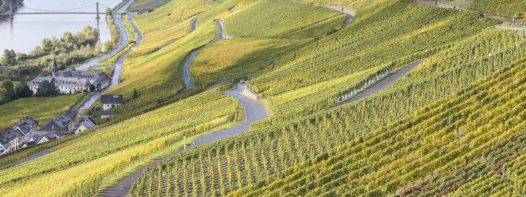 Weinberge in Graach