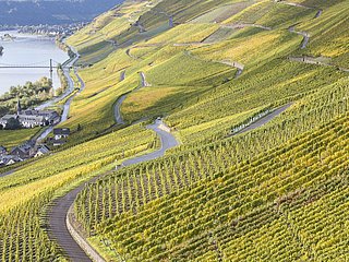 Weinberge in Graach