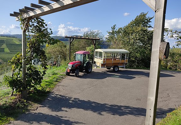 Planwagen Weinerlebnistour