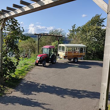 Planwagen Weinerlebnistour