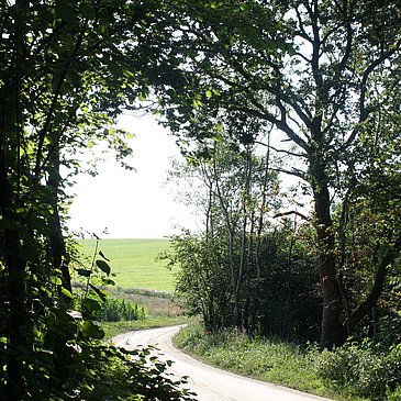 Wald- und Feldweg entlang der Strecke