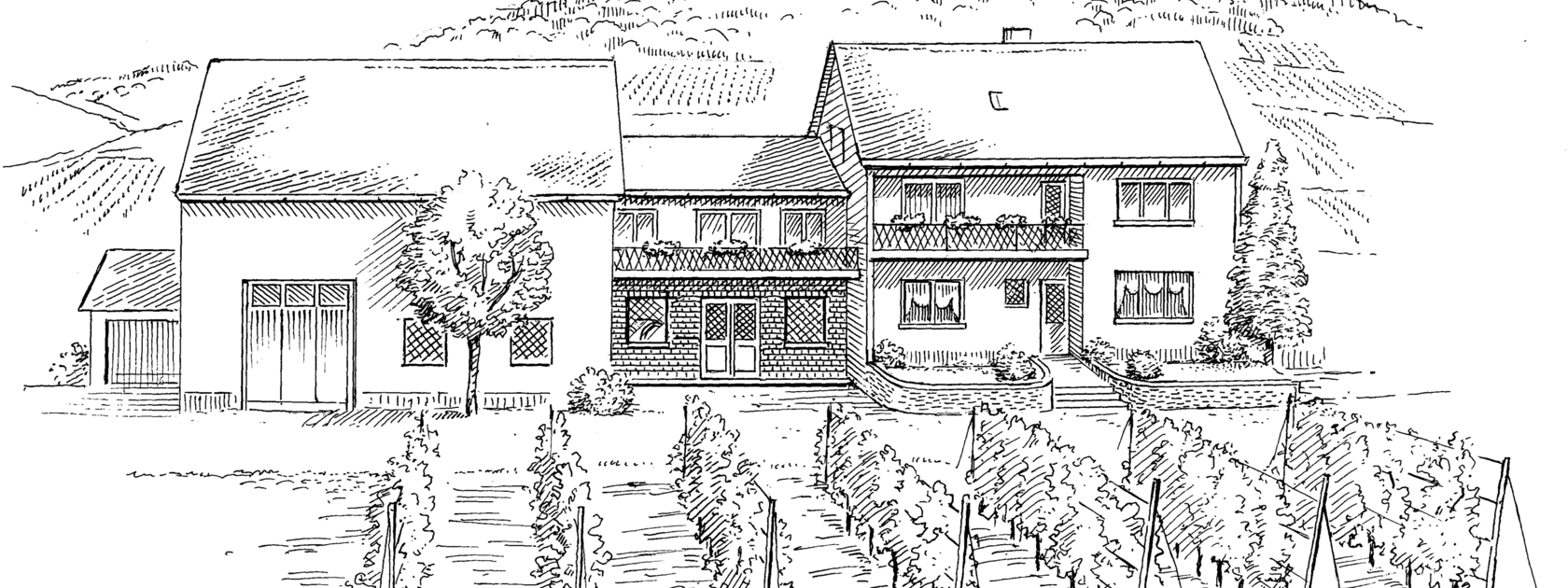 Zeichnung Ansicht Weingut