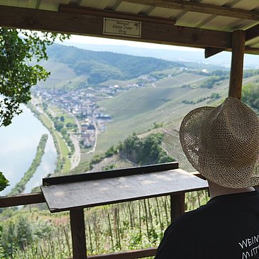 Rastmöglichkeit oberhalb der Weinberge