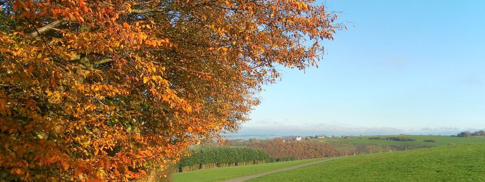 Blick auf Longkamp im Mosel-Hunsrück