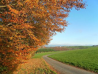 Blick auf Longkamp im Mosel-Hunsrück