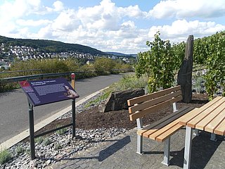 Station 1: "Riesling trifft Mosel"