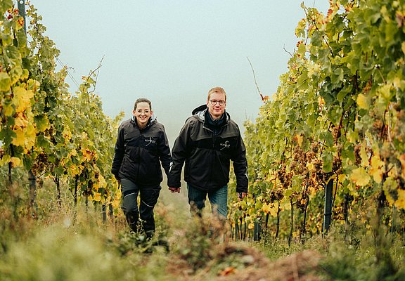 Weingut Schwaab und Sohn im Weinberg