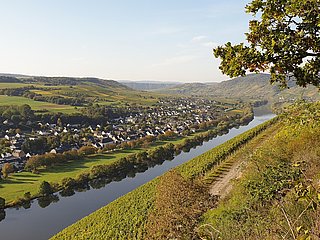 Brauneberg
