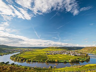 Moselblick bei Leiwen