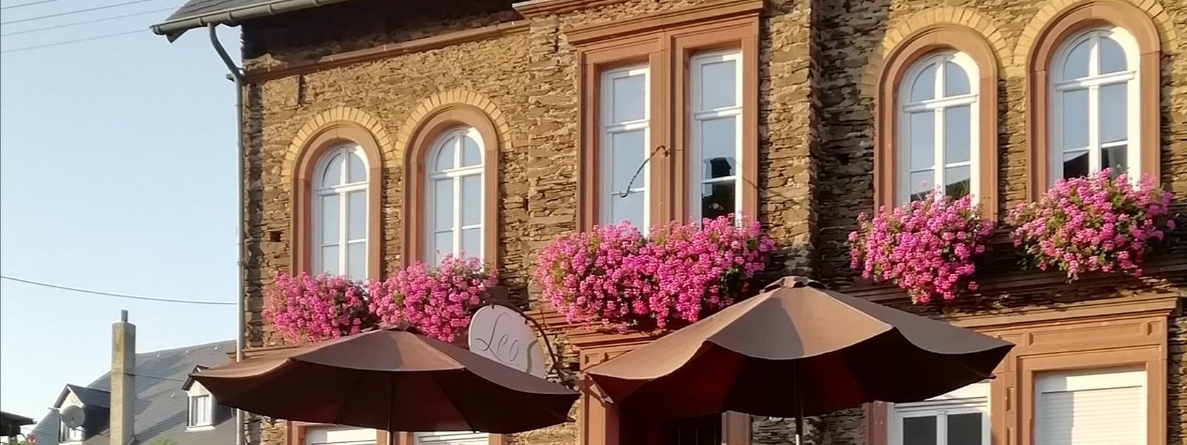 Das Weingut Leos in Zeltingen-Rachtig