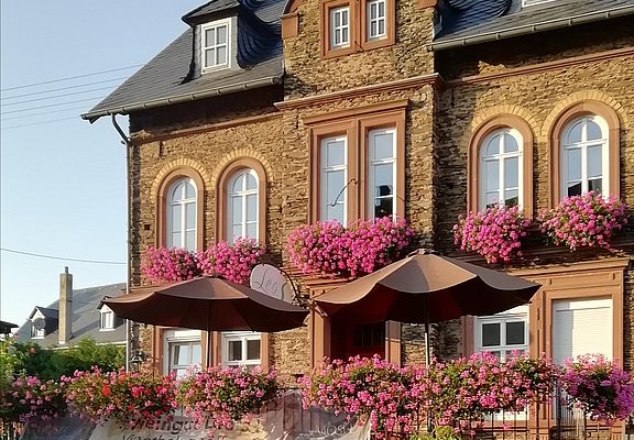 Das Weingut Leos in Zeltingen-Rachtig