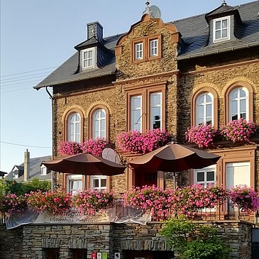 Das Weingut Leos in Zeltingen-Rachtig