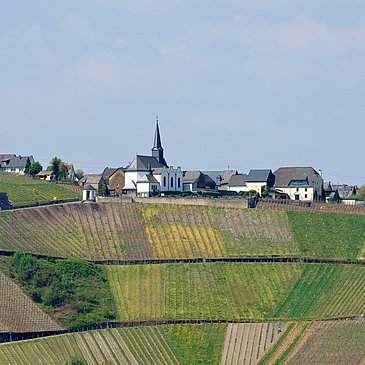 Osann-Monzel