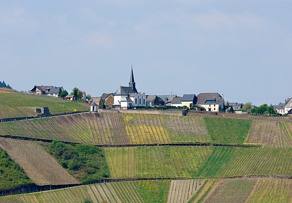 Osann-Monzel