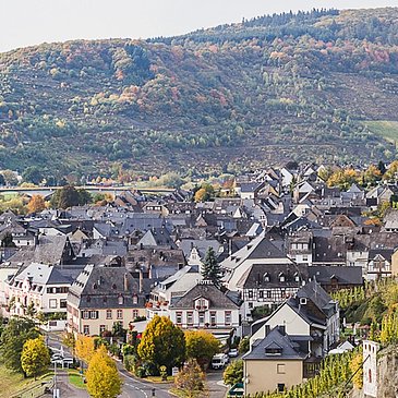 Zeltingen-Rachtig an der Mosel
