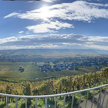 Weingut Thomas Hoffmann - Ausblick