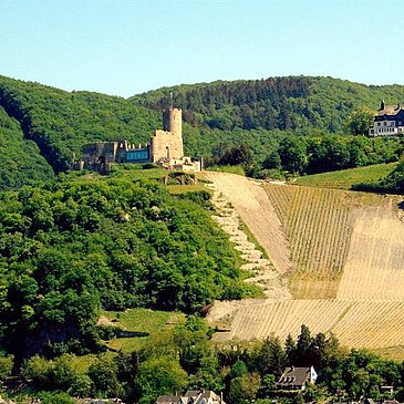 Umgebungsfoto , Burgruine Landshut