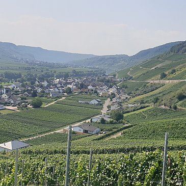 Blick auf den Ort Kesten und die Weinberge