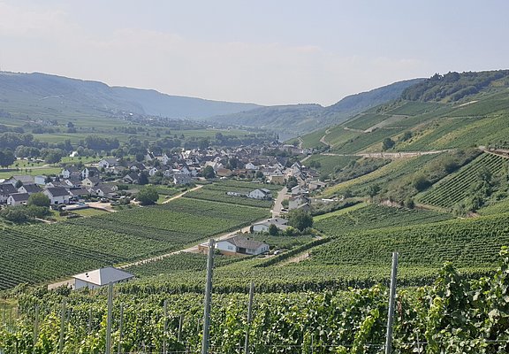 Blick auf den Ort Kesten und die Weinberge