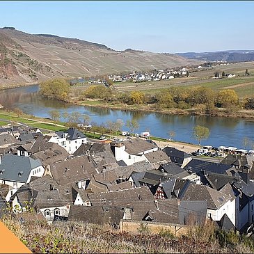 Ürzig an der Mosel im Ferienland Bernkastel-Kues