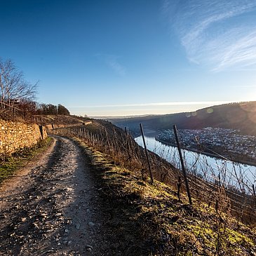 Auf dem Moselsteig bei Winningen